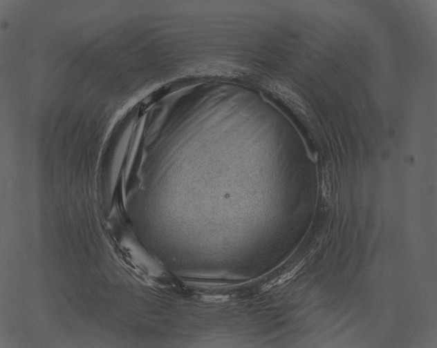 X0000062610388200601111014