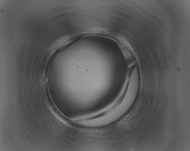 X0000062610389200601111014