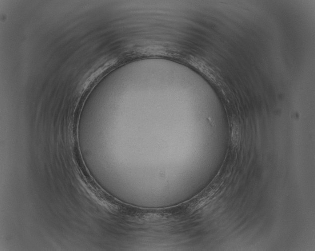 X0000062610390200601111014