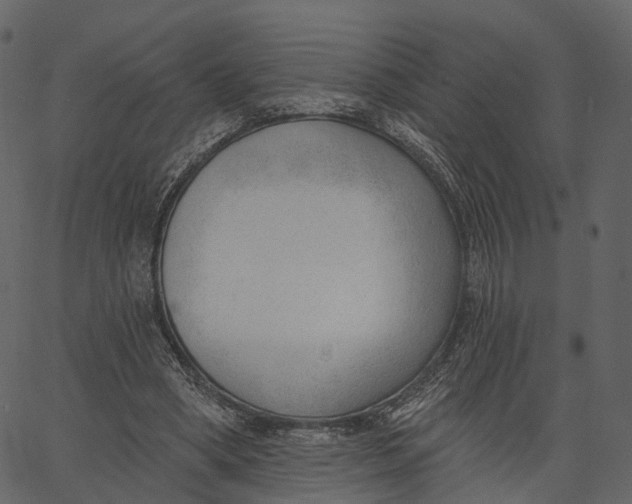 X0000062610394200601111014