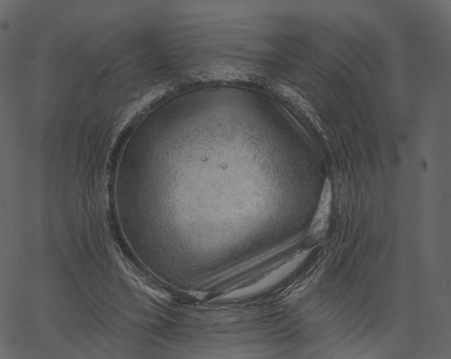 X0000062610395200601111014