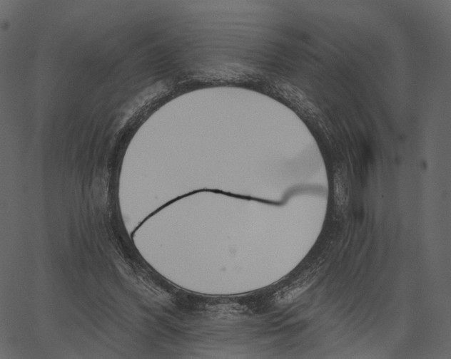 X0000062610396200601111014