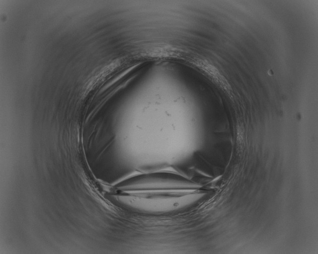 X0000062610397200601111014