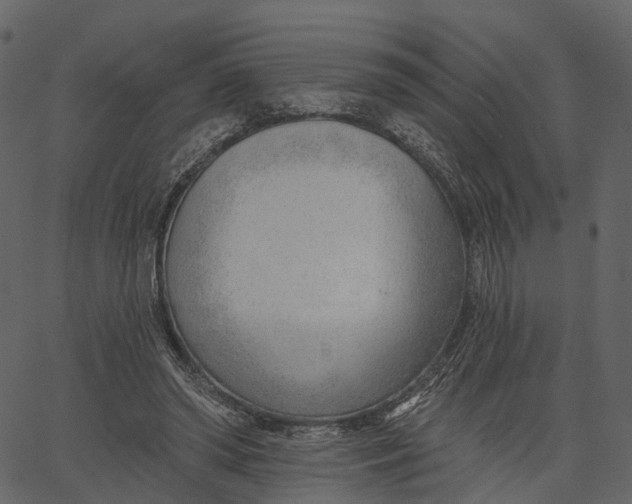 X0000062610398200601111014