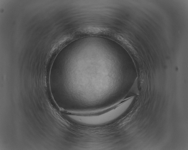 X0000062610399200601111014