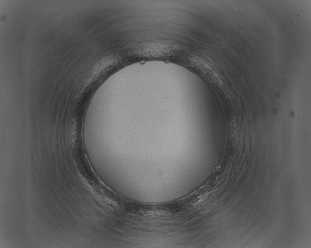 X0000062610400200601111014