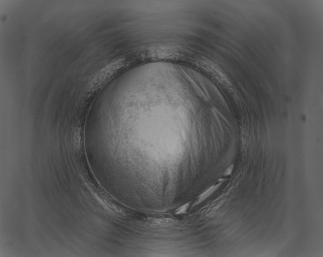 X0000062610401200601111014