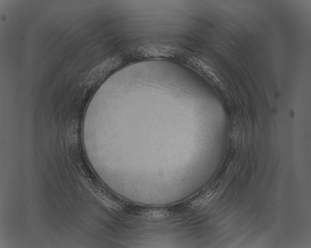 X0000062610402200601111014