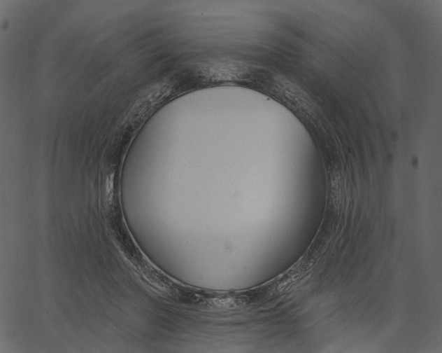 X0000062610406200601111014