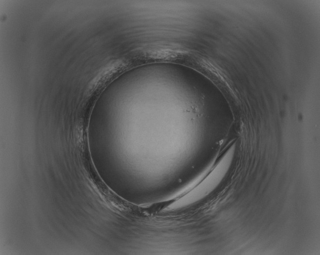 X0000062610407200601111013