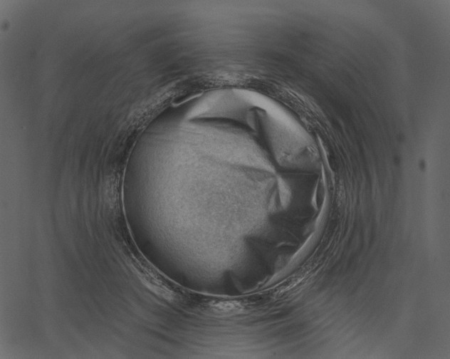 X0000062610409200601111013