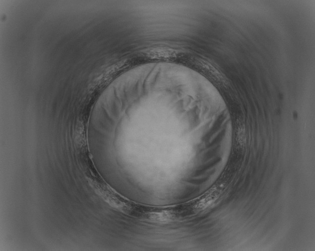 X0000062610411200601111013