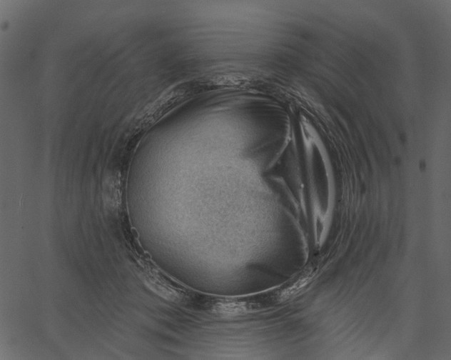 X0000062610413200601111013