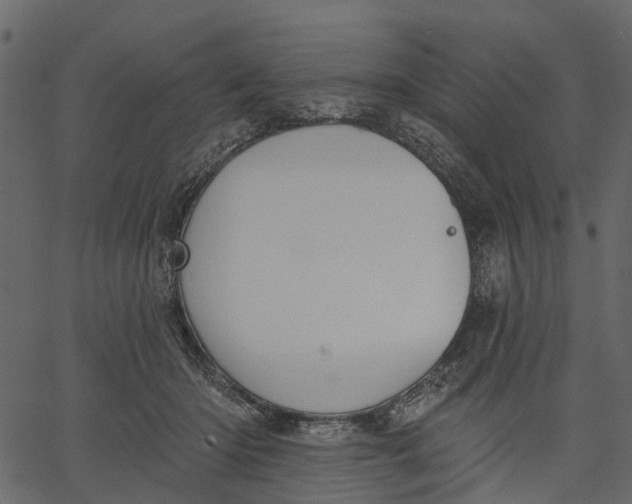 X0000062610414200601111013