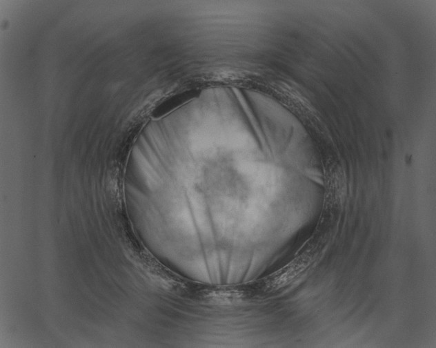 X0000062610415200601111013