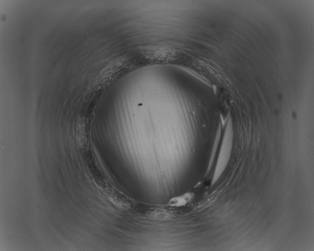 X0000062610416200601111013