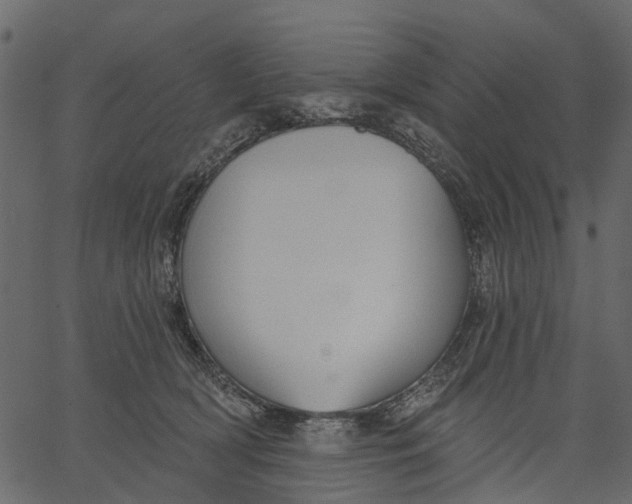 X0000062610418200601111013