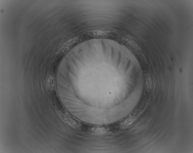 X0000062610419200601111013