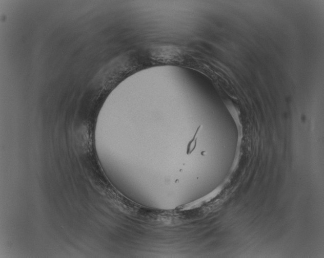 X0000062610420200601111013