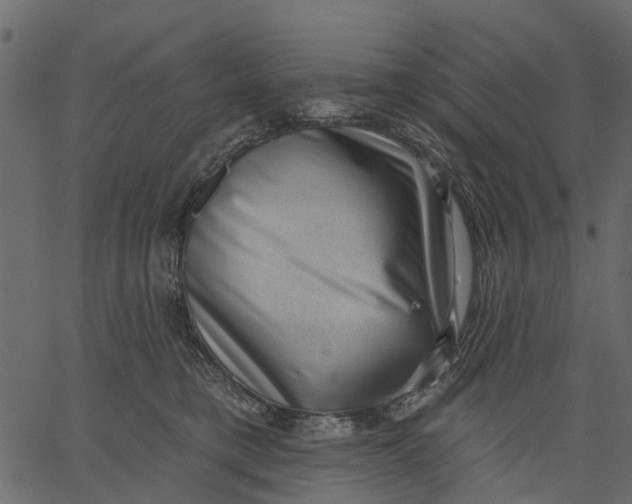 X0000062610421200601111013