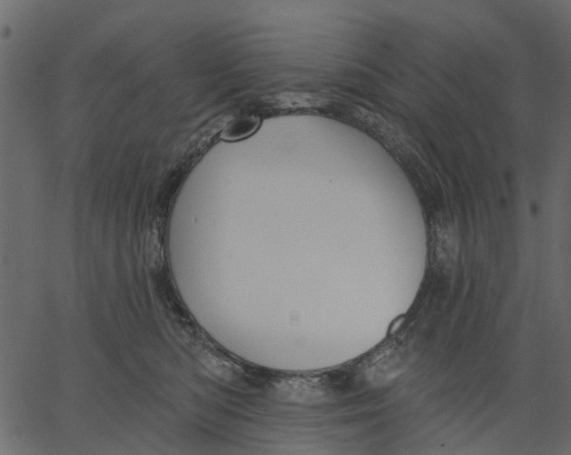 X0000062610422200601111013