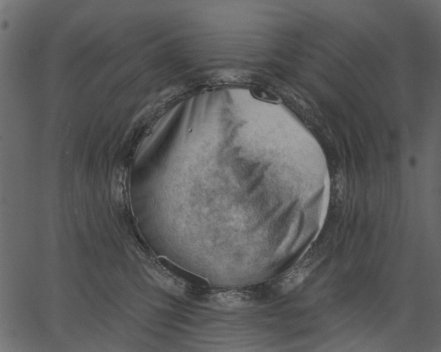 X0000062610423200601111013