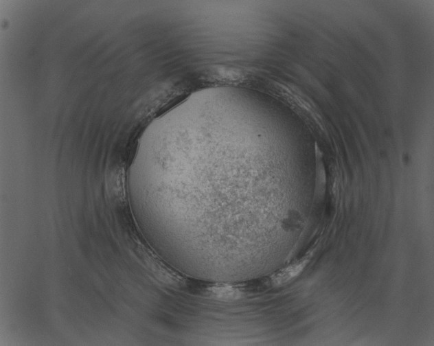 X0000062610425200601111013