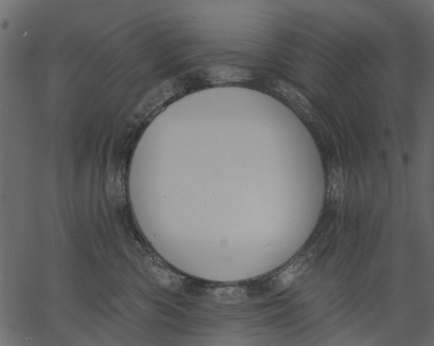 X0000062610426200601111013