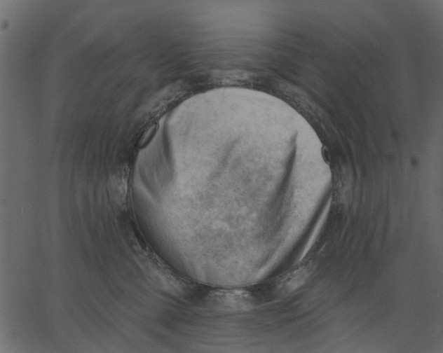 X0000062610427200601111013