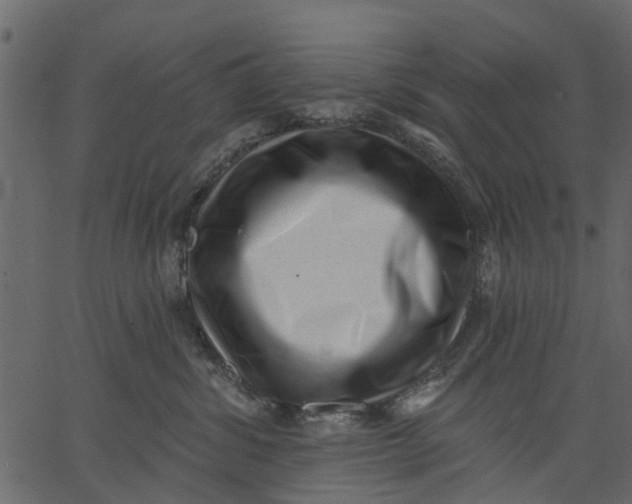 X0000062610428200601111013