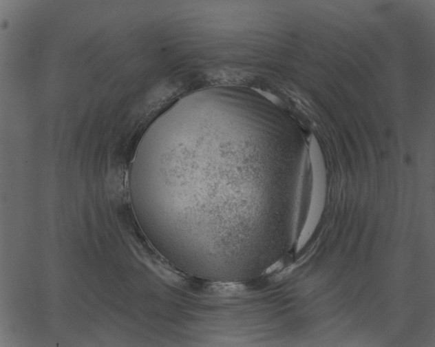 X0000062610429200601111013