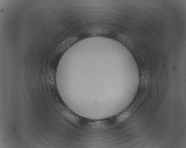 X0000062610430200601111013