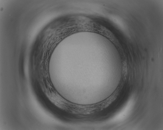 X0000062610431200601111013