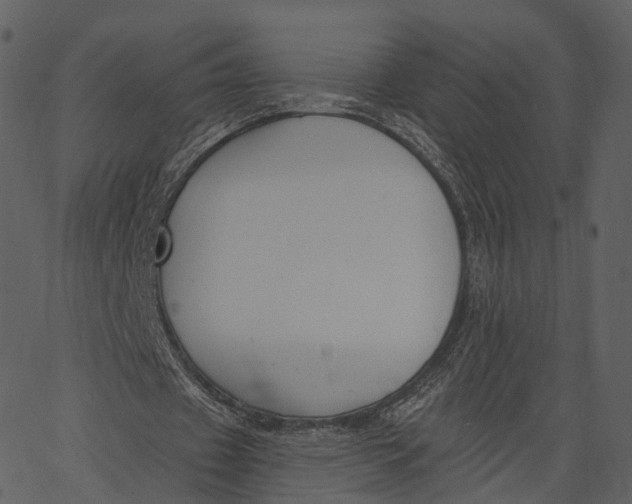 X0000062610433200601111012