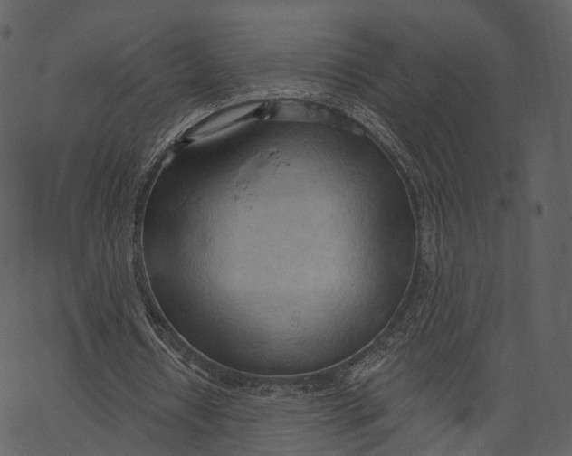 X0000062610434200601111012