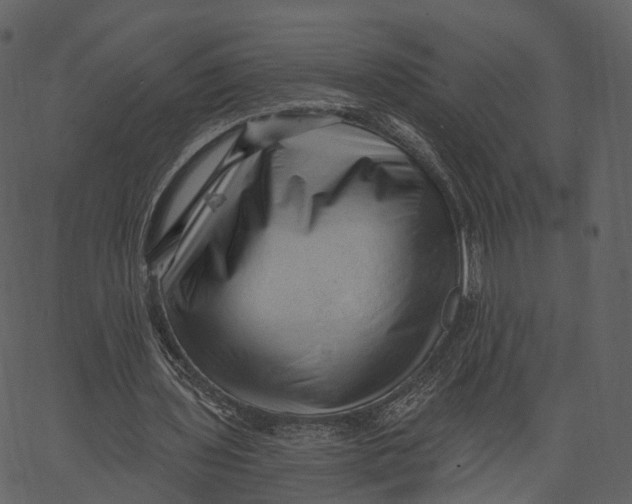 X0000062610435200601111012