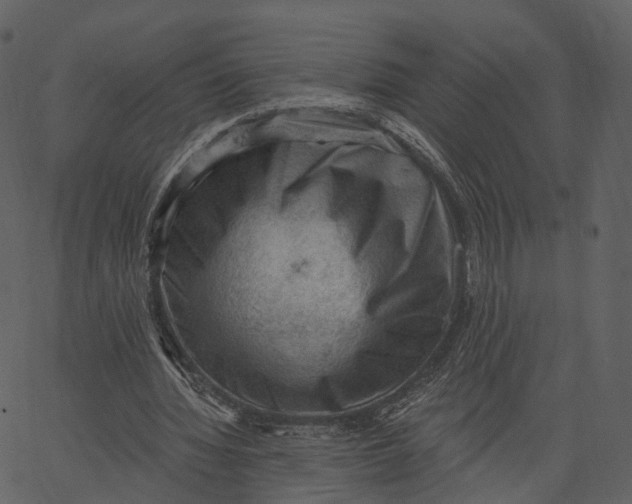 X0000062610436200601111012