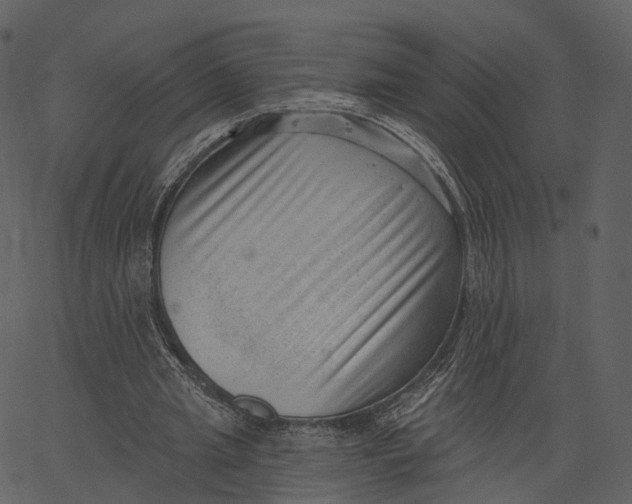 X0000062610437200601111012