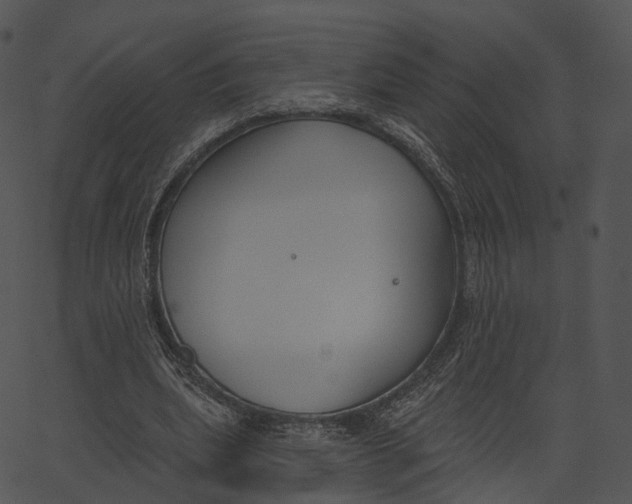 X0000062610439200601111012