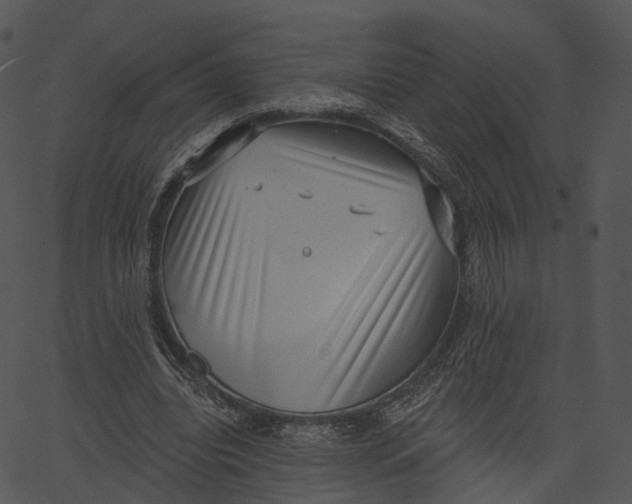 X0000062610440200601111012