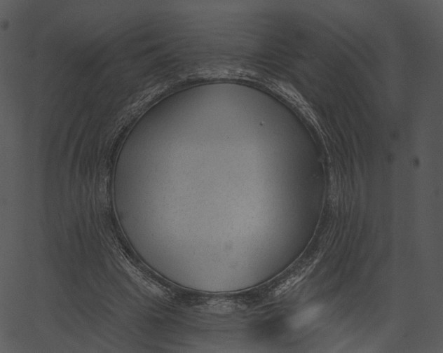 X0000062610441200601111012