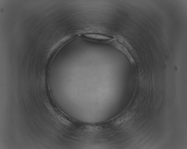 X0000062610442200601111012