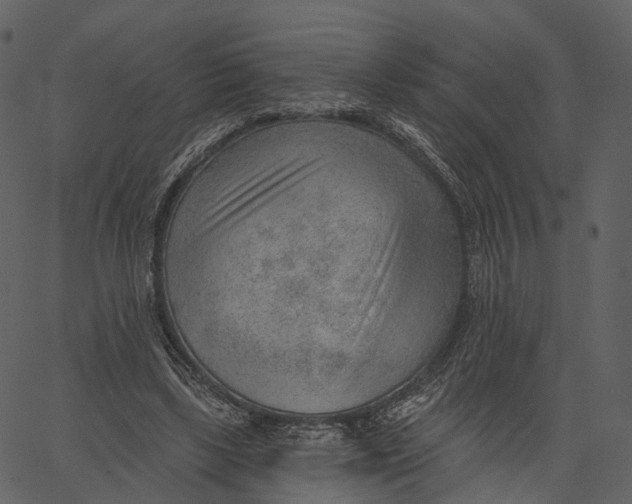 X0000062610443200601111012