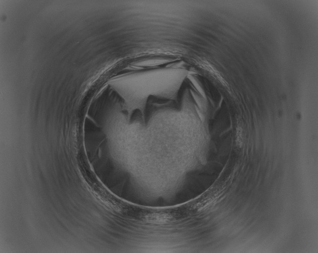 X0000062610444200601111012