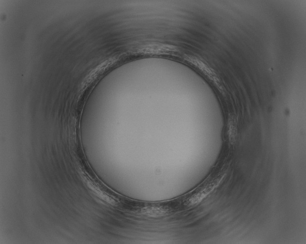 X0000062610445200601111012