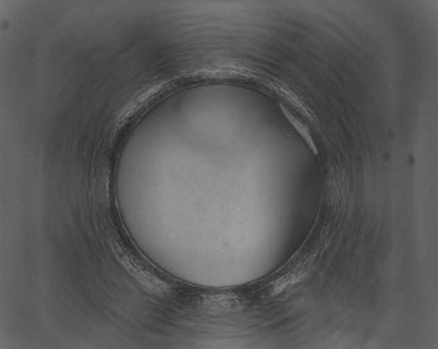 X0000062610446200601111012