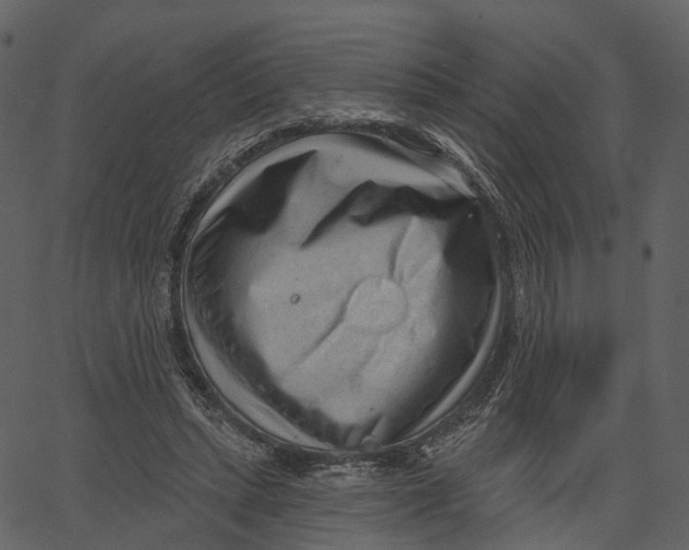 X0000062610447200601111013