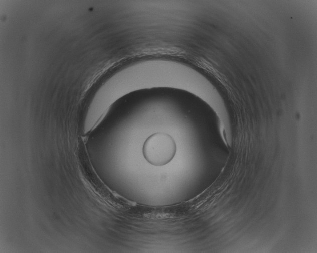 X0000062610448200601111013