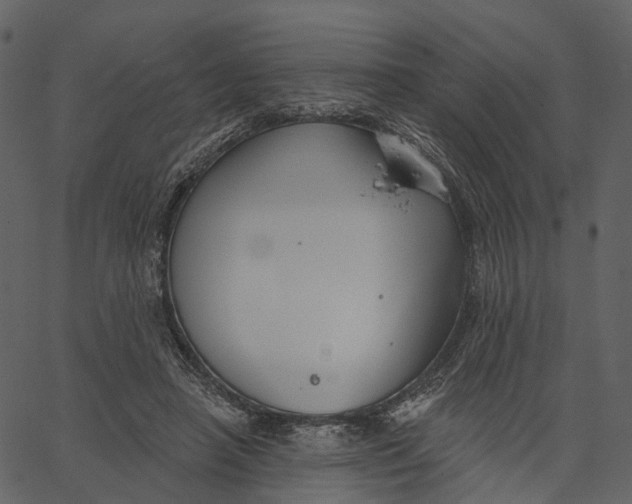 X0000062610450200601111013