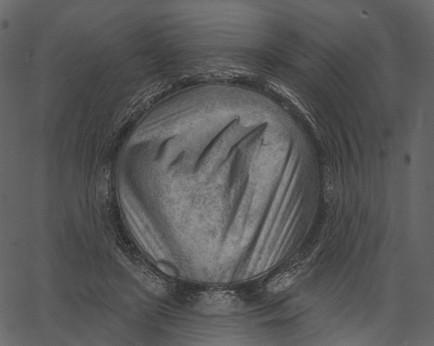 X0000062610451200601111013